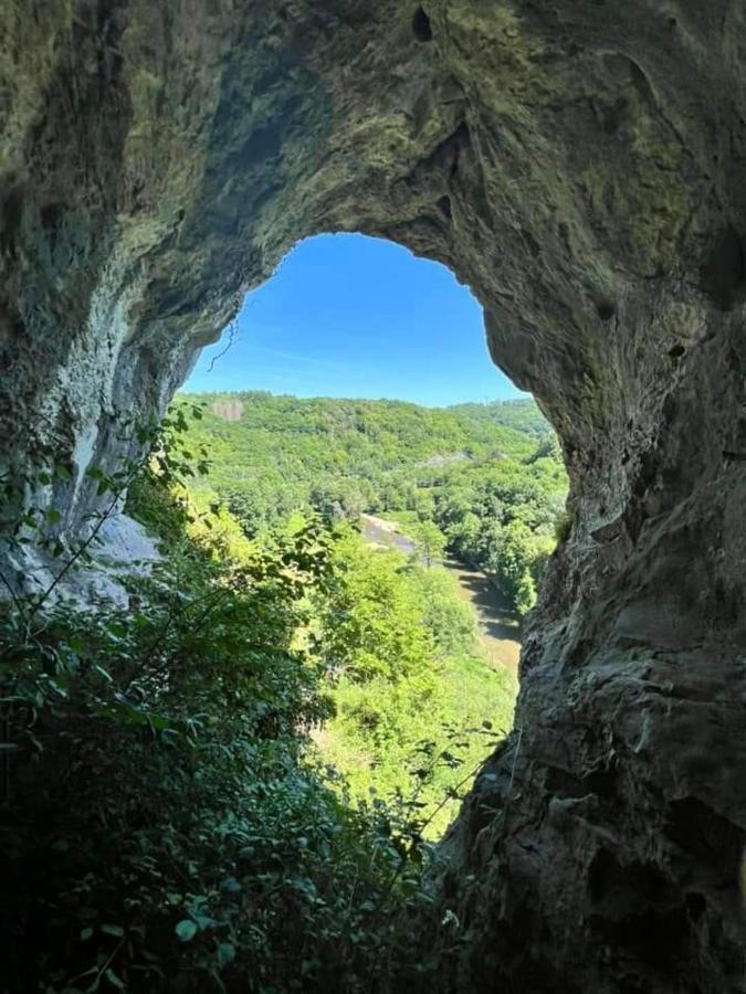 Vakantiestudio Ciney Chapois Екстериор снимка