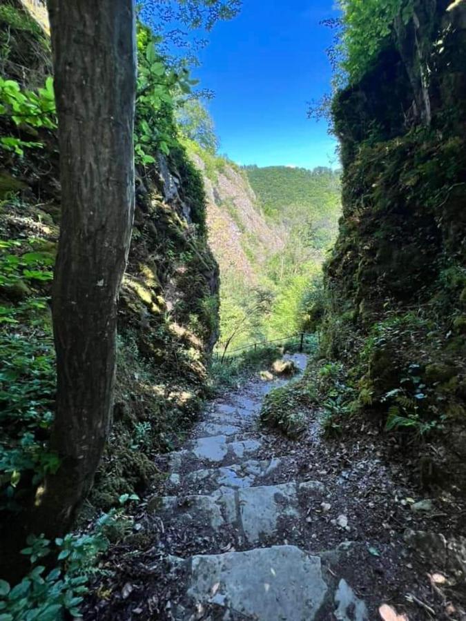 Vakantiestudio Ciney Chapois Екстериор снимка